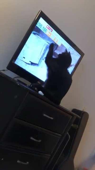 “My whole life is a lie”