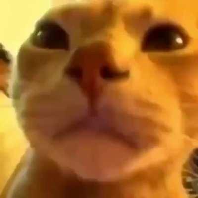 when you’re at a party and you get a Canvas alert that your exam has been graded