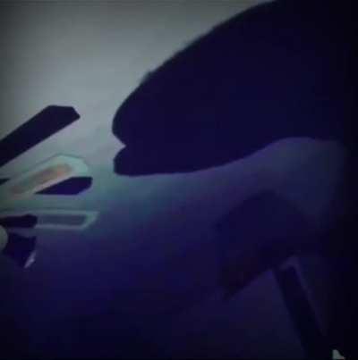 😱😱😱😱😱😱