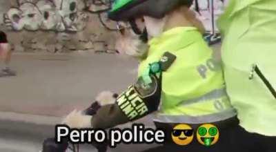 Recordandoles tremenda joya