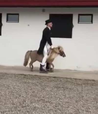 When there's only a few small lines left for tonight