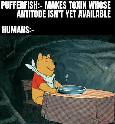 let's fucking eat that