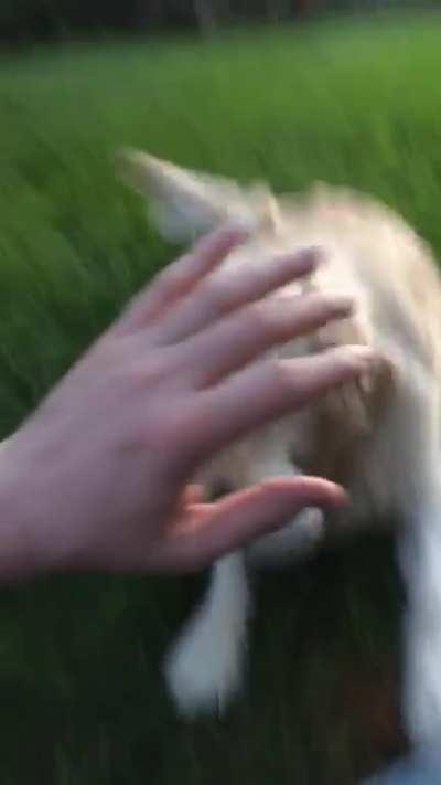 Nope! Nope! Nope! Nope! Dang it!