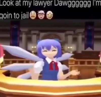 i wish cirno was my lawyer🙏