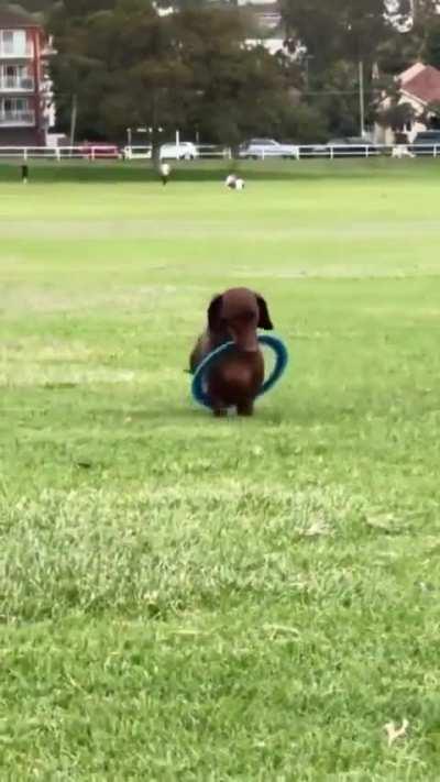 I will bring it to you!