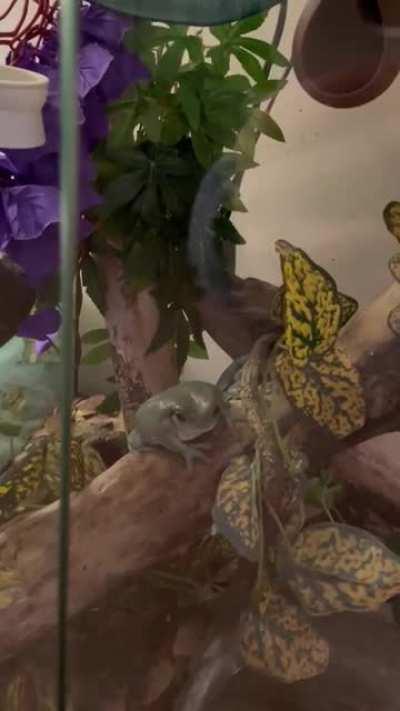 What the fuck are they DOING?