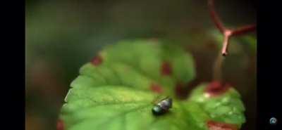 little fella got the rug pulled out from under him.