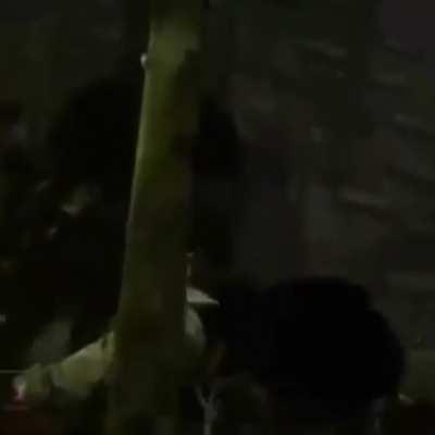 Old but still makes me laugh