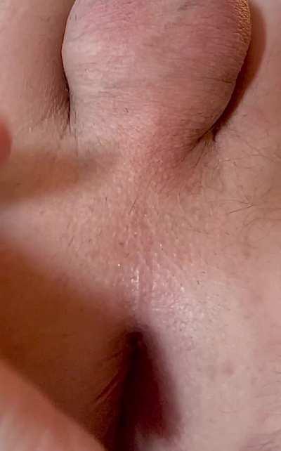 Ass Gay Ass Spread Balls Big Balls Spreading Spread Porn GIF by pinkandstink1