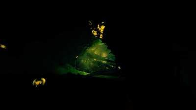 Today’s leak on the dev stream