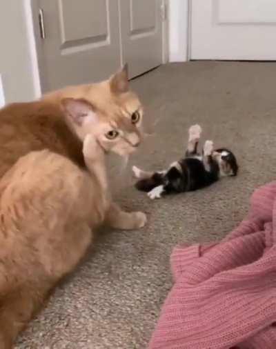 Help function not working?