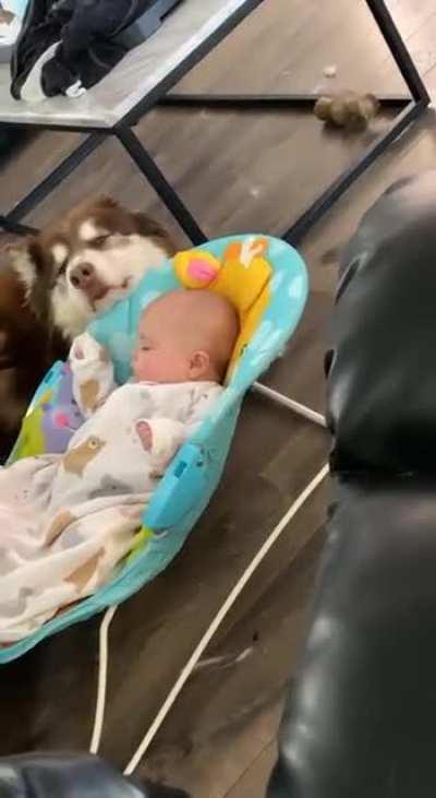 Shhhh I’m putting the baby to sleep