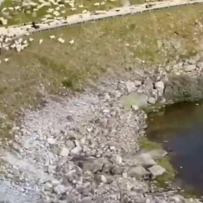 POV: You just said that Loose is a better song than 23 at some 9 yr olds birthday party.