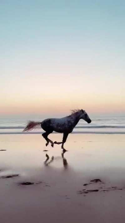 Let me rev my engine aaand let's go