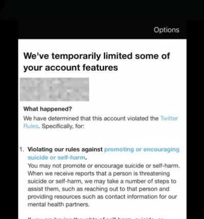 🌟 Living the Dream