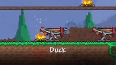 Duck