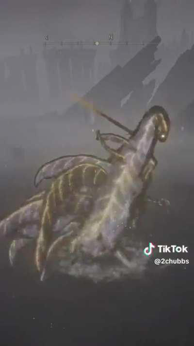 I have never played elden ring ever before. Is this what happens after a person plays elden ring?