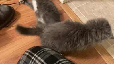 Mayhem & Darkthrone fighting with boot