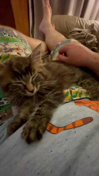 Late night chainsaw purring from Astrid