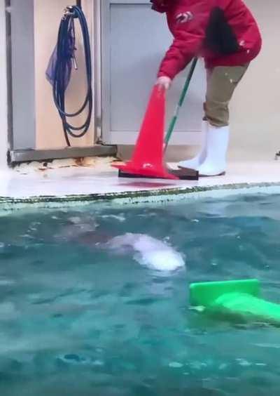 Otter is helping the cleaner