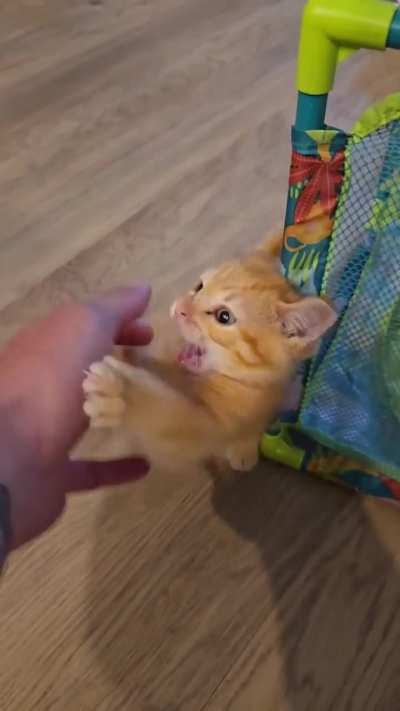 Prisoner appears to be gaining mass in an attempt to obtain the strength necessary to usurp me. Any advice?