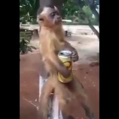 Quando tá na roça e não tem como assistir o maravilhoso HUEstation.