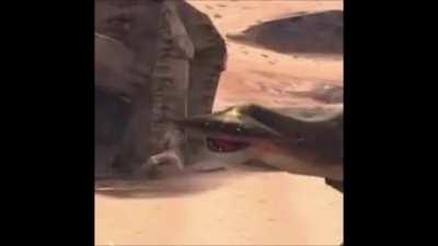 love this fich ❤️❤️ he eats sand just like me fr fr