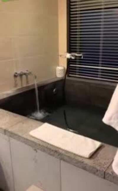 The endangered bathtub scorpion in its natural habitat