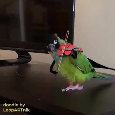 I am No Paganini, so the show is over