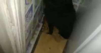 *Black latex creature sounds*