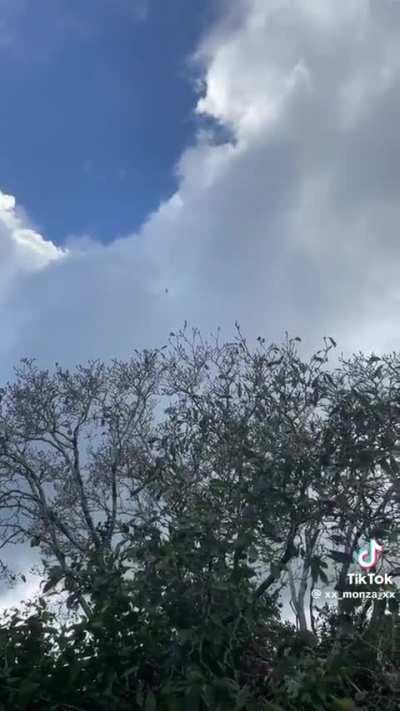 My fairy doll people need me! 