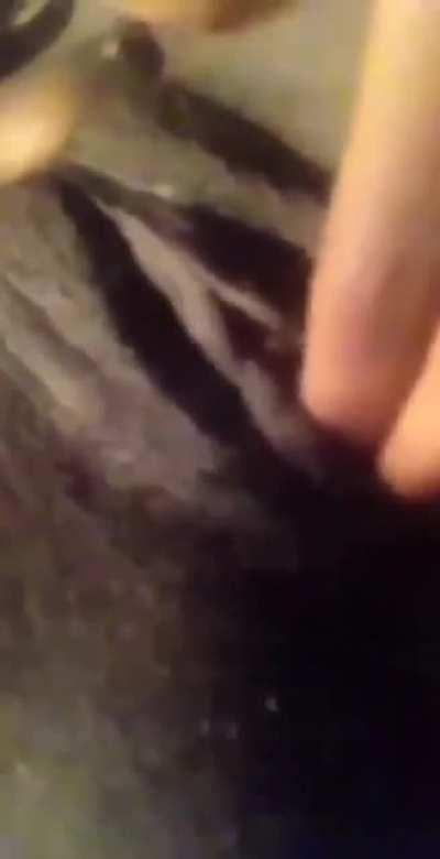 Anyone know this thot ☀️☀️