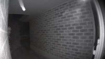 POV: You're streaming as Haato but Haachama just woke up