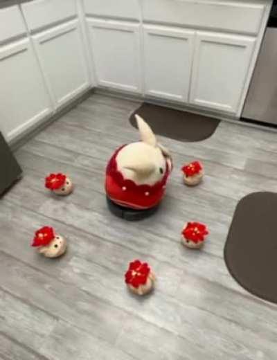 Maybe I should stay out of the kitchen today