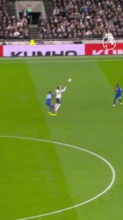 Moises Caicedo was a beast against spurs.