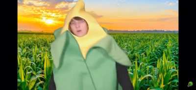 Corn