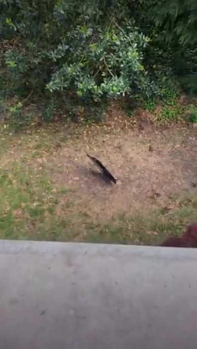 Working the corners with the bros