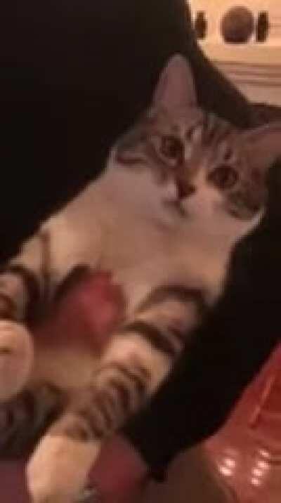 If you're happy and you know it !