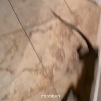 aye bro you got a phone call