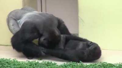 He finally mustered the courage to announce to his dad that he wanted to be a dancer