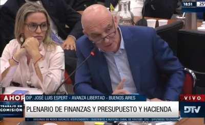 Espert expone el impuestazo encubierto a los bienes personales en el acuerdo con el FMI.
