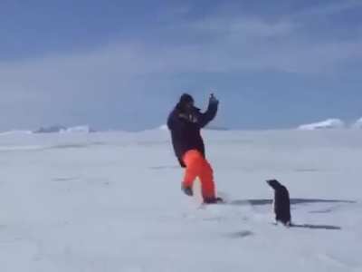 Original penguin missile video