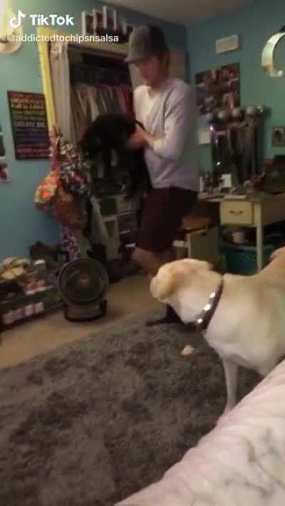 Outstanding performance