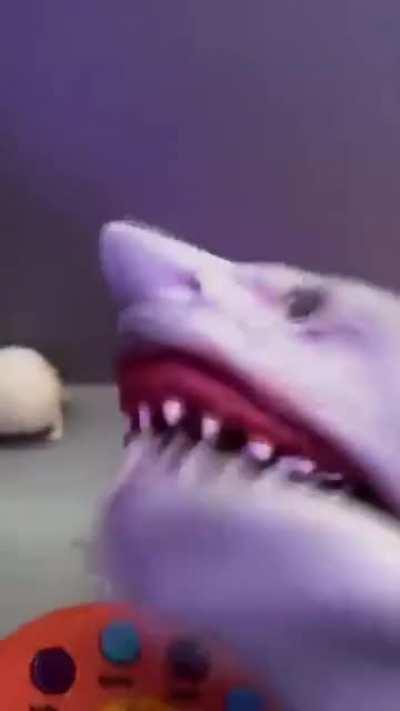 SHARK PUPPETS SNACK!!!!!