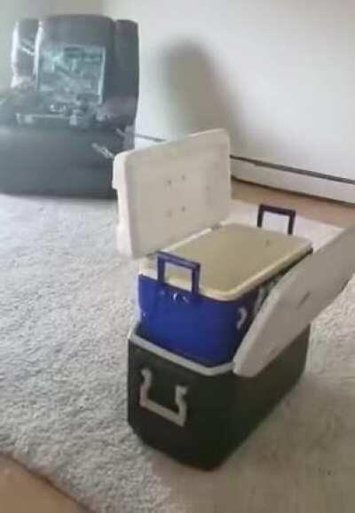 WCGW drilling a hole on the wall to mount a TV