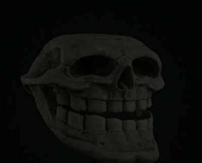 This meme was made by me(musty.freezer)