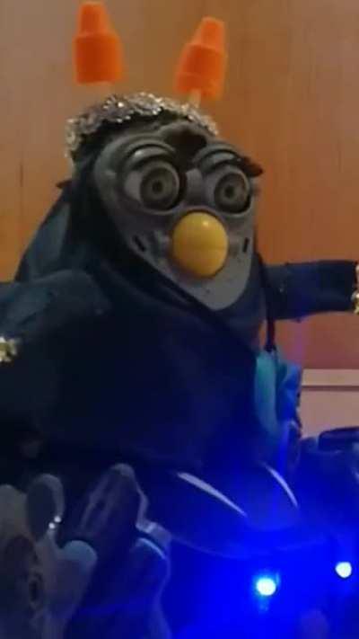 My beautiful boy, Denimus of the dark wheels