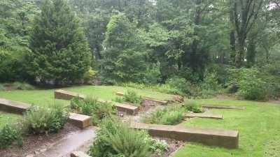 A garden-variety rainstorm