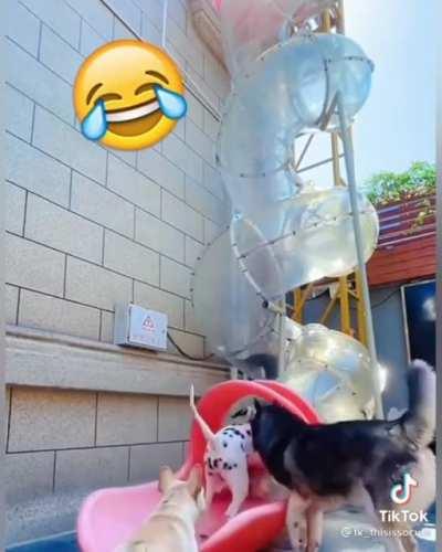 Need to install one of these in my backyard