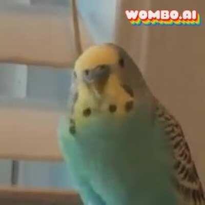 Birb playing fortnite be like